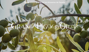 Grandes pagos de olivar